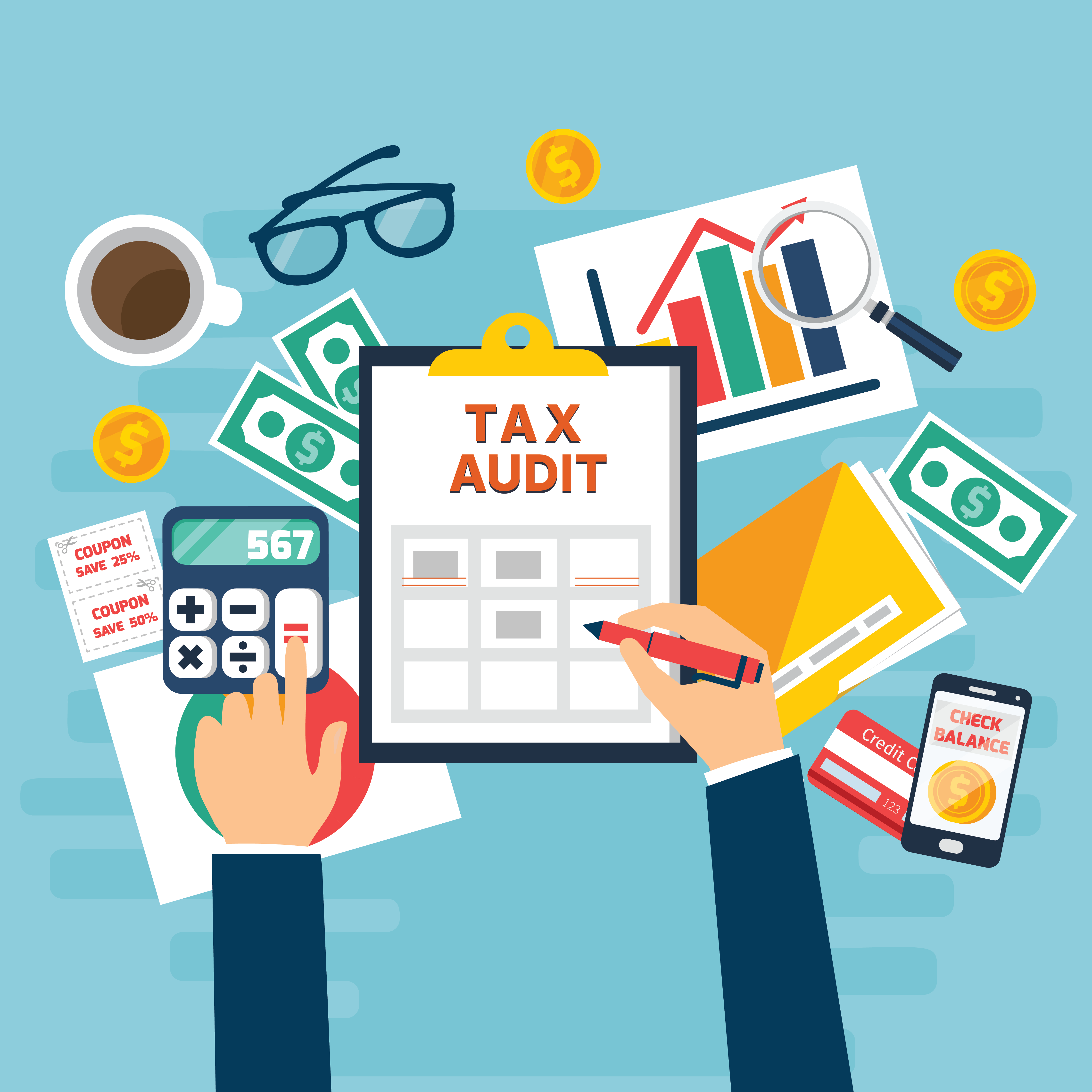 Tax Audit